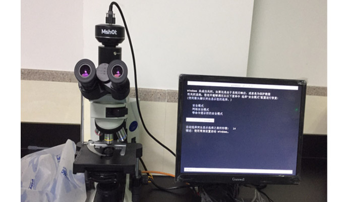 體視熒光顯微鏡應用于心血管研究