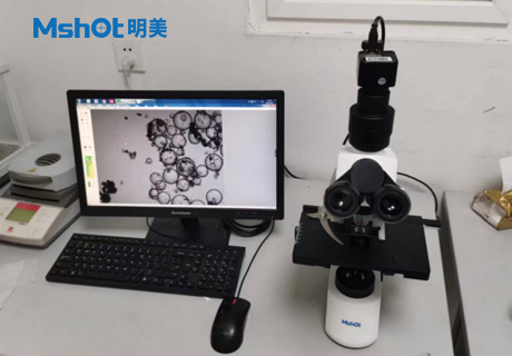 石墨烯用什么顯微鏡觀察？