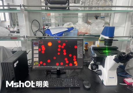 不同顯微鏡應用于材料學